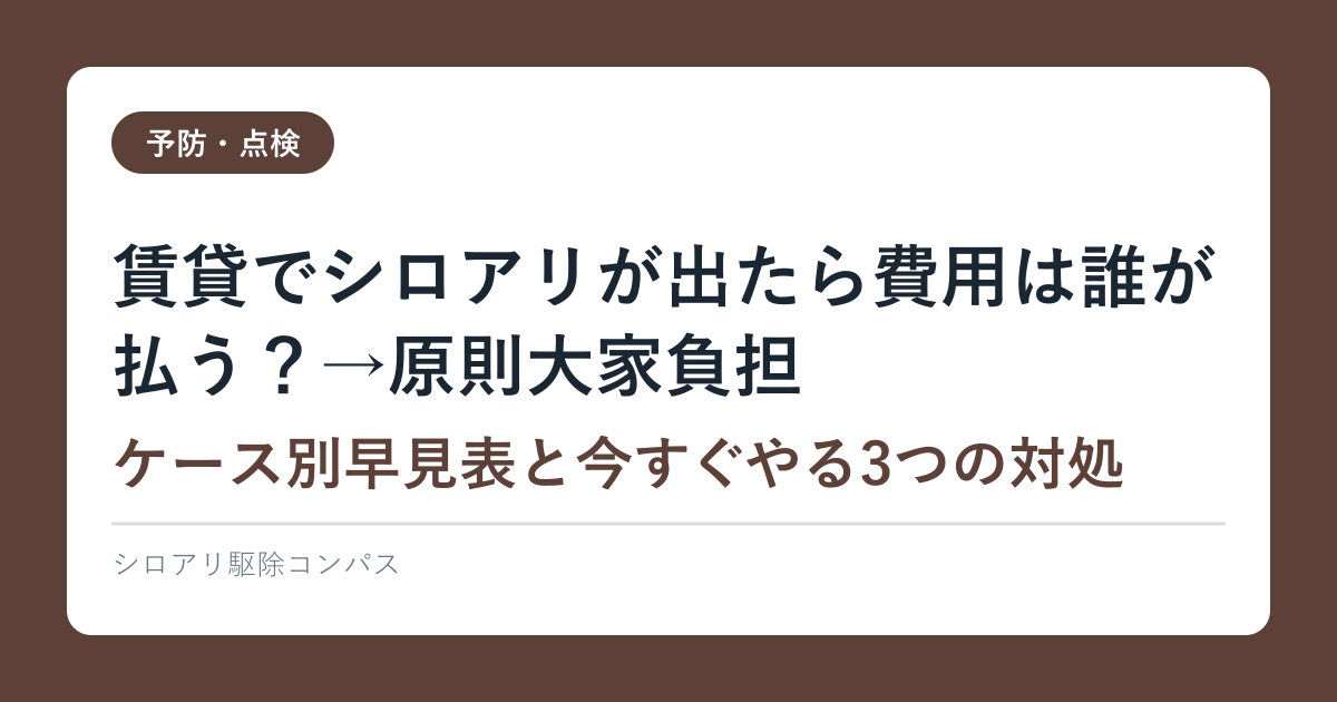 賃貸でシロアリが出たら費用は誰が払う？→原則大家負担【ケース別早見表と今すぐやる3つの対処】