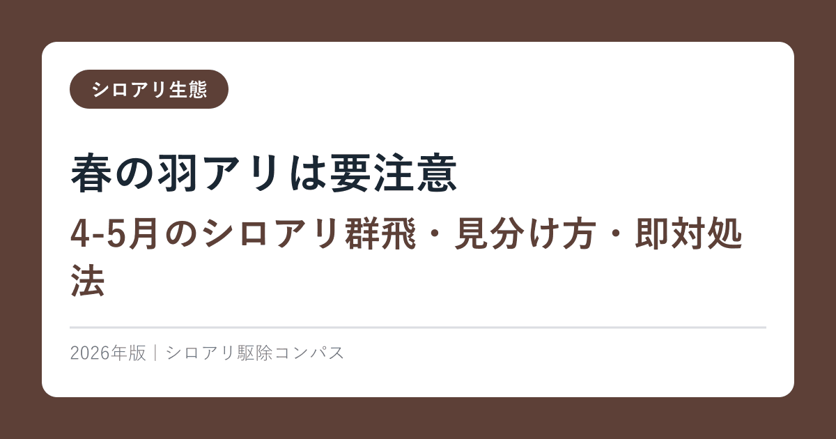 春の羽アリは要注意【4-5月のシロアリ群飛・見分け方・即対処法】2026年完全ガイド