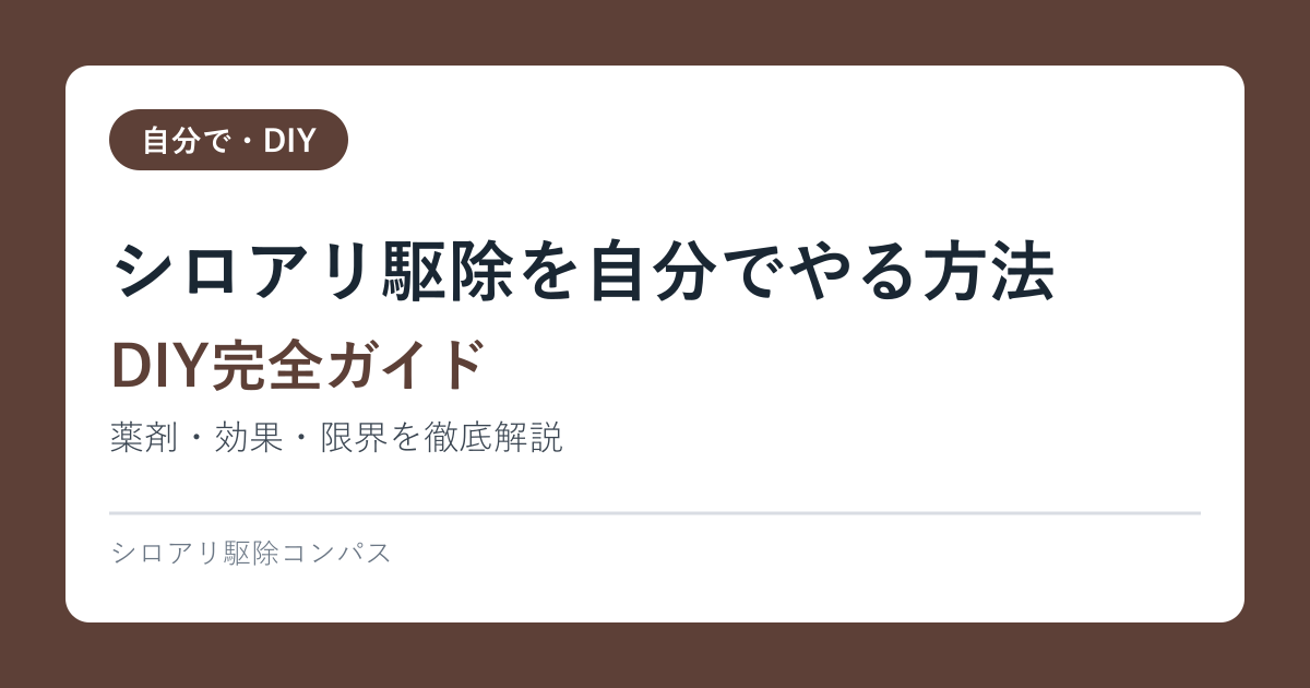 シロアリ駆除を自分でやる方法【DIY完全ガイド】薬剤・効果・限界を徹底解説